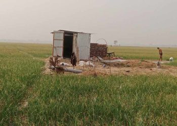 সেচ কমিটির ছাড়পত্র ছাড়াই সেচ পাম্প স্থাপন – বৈধতা পেতে বিএডিসির কর্মকর্তার বিরুদ্ধে ঘুষের মামলা