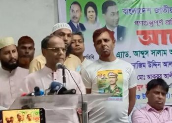 হাসিনার পতন বিএনপির ১৭ বছরের আন্দোলনের ফসল : সালাম আজাদ