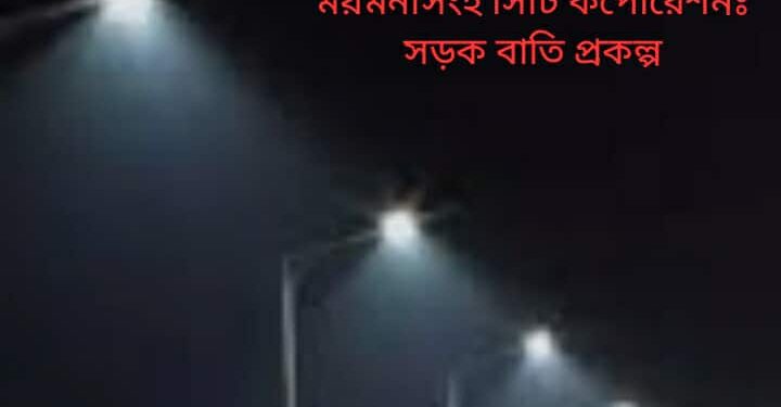 পালপাড়ায় মসজিদের পাশের কুটিতে সড়ক বাতি স্থাপনের দাবি: সিটি কর্পোরেশনের আশ্বাসে আশাবাদী স্থানীয়রা