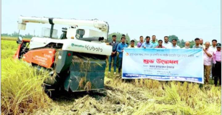 নাটোরের সিংড়ায় বোরো ধানের সমলয় পদ্ধতিতে চাষাবাদের প্রদর্শনী