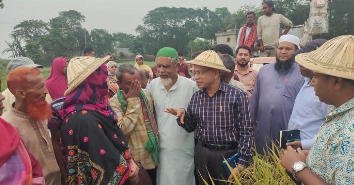 কালীগঞ্জে কম্বাইন হারভেস্টারে সমলয়ের বোরো ধান কর্তন উৎসব