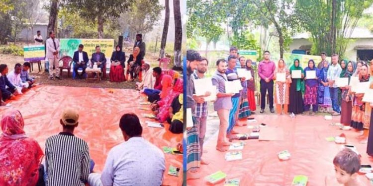 গাজীপুরে কৃষকদের জন্য ব্যতিক্রমী ‘পার্টনার ফিল্ড স্কুল’