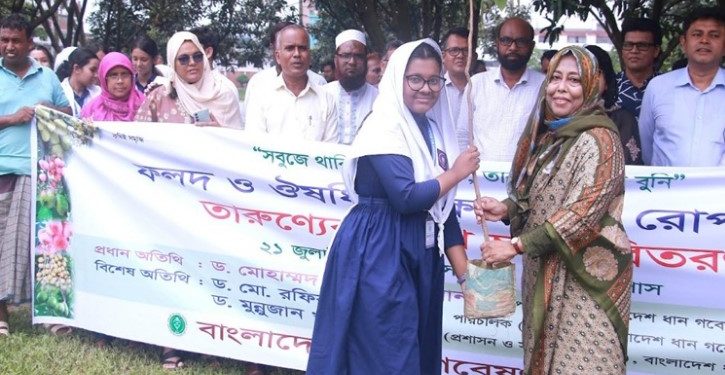 গাজীপুরের ধান গবেষণা ইনস্টিটিউট বৃক্ষরোপণ ও চারা বিতরণ