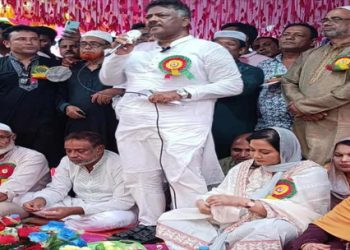 অবৈধভাবে ১৬ বছর ক্ষমতায় থেকে লাখ লাখ বিএনপি নেতাকর্মীকে জেল জুলুম নির্যাতন করেছে : দুলু