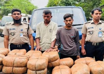 শ্রীপুরে ১মণ ৮ কেজি গাঁজাসহ দুই মাদক কারবারি আটক