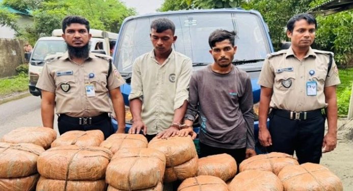 শ্রীপুরে ১মণ ৮ কেজি গাঁজাসহ দুই মাদক কারবারি আটক