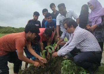 নেত্রকোণা বিশ্ববিদ্যালয়ে দেশীয় প্রজাতির গাছের চারা রোপণ