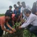 নেত্রকোণা বিশ্ববিদ্যালয়ে দেশীয় প্রজাতির গাছের চারা রোপণ