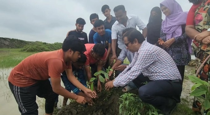 নেত্রকোণা বিশ্ববিদ্যালয়ে দেশীয় প্রজাতির গাছের চারা রোপণ