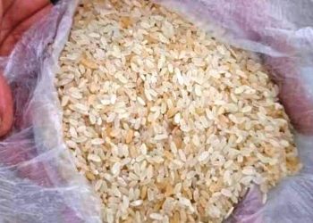 সরকারি চাল সংগ্রহে ভয়ঙ্কর দুর্নীতি: তদারকি অকার্যকর, জনবিশ্বাস ভেঙে পড়ছে