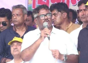 গণতন্ত্রের স্বার্থে নির্ধারিত সময়ে নির্বাচন দিতে হবে : দুলু