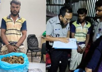 ময়মনসিংহে পৃথক অভিযানে গাঁজা ও ইয়াবা উদ্ধার,গ্রেফতার ১
