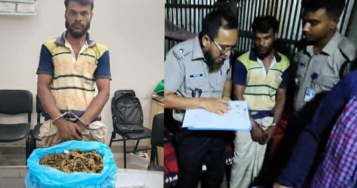 ময়মনসিংহে পৃথক অভিযানে গাঁজা ও ইয়াবা উদ্ধার,গ্রেফতার ১