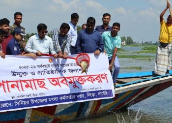 নাটোরের চলনবিলে মাছের পোনা অবমুক্তকরণ