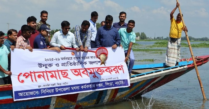 নাটোরের চলনবিলে মাছের পোনা অবমুক্তকরণ
