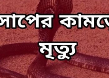 নাটোরে ঘুমন্ত অবস্থায় সাপের কামড়ে শিশর মৃত্যু