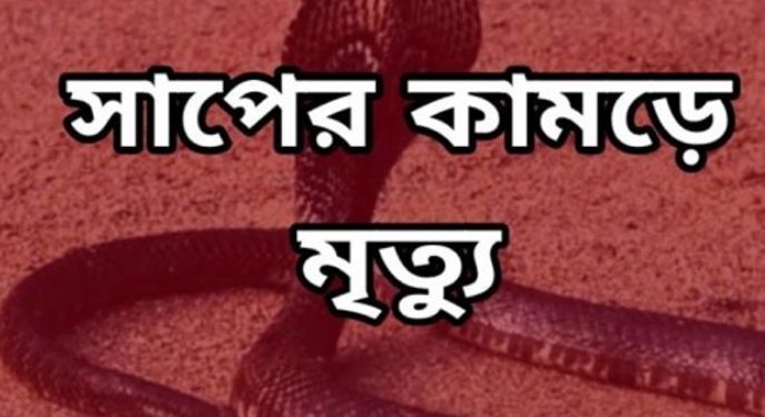 নাটোরে ঘুমন্ত অবস্থায় সাপের কামড়ে শিশর মৃত্যু