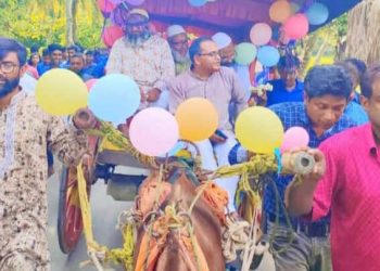 নাটোরের সিংড়ায় ঘোড়ার গাড়িতে চড়িয়ে শিক্ষক ও নৈশ প্রহরীকে বিদায়