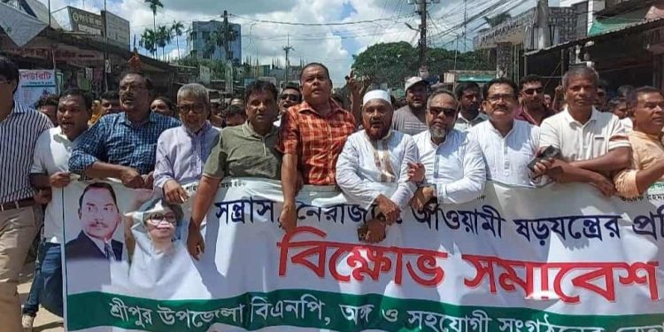 গাজীপুরের শ্রীপুরে সন্ত্রাস নৈরাজ্য, আওয়ামী ষড়যন্ত্রের প্রতিবাদে বিক্ষোভ মিছিল ও প্রতিবাদ সমাবেশ অনুষ্ঠিত