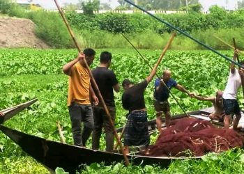 মির্জাপুরে পানিতে ডুবে নিখোঁজ ব্যবসায়ী খোঁজ মেলেনি ১৪ ঘন্টায়ও