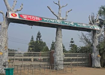 গাজীপুর সাফারী পার্কে অবৈধ অনুপ্রবেশ, আটক ১১