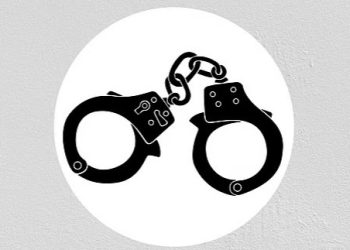 নাটোরের বড়াইগ্রামে নাতিকে বিষ খাইয়ে হত্যার অভিযোগে দাদি আটক