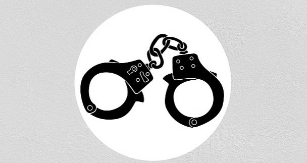 নাটোরের বড়াইগ্রামে নাতিকে বিষ খাইয়ে হত্যার অভিযোগে দাদি আটক