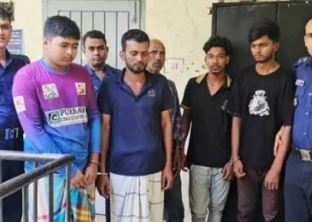 শ্রীপুরে গরু চুরি: ৩ ঘণ্টার মধ্যেই উদ্ধার, গ্রেপ্তার