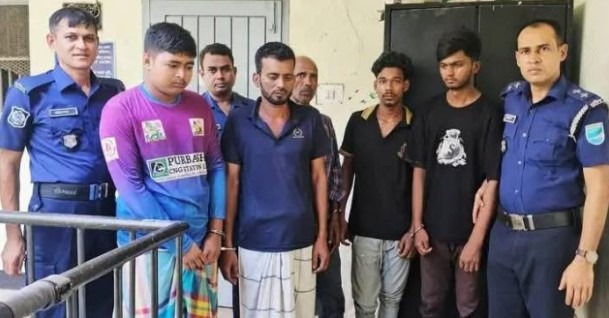 শ্রীপুরে গরু চুরি: ৩ ঘণ্টার মধ্যেই উদ্ধার, গ্রেপ্তার