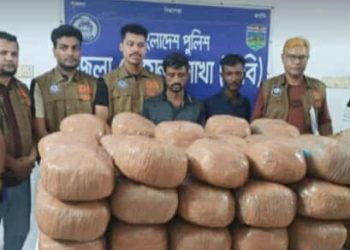 নাটোরে বাস ও ট্রাকে তল্লাশী ১৭৪ কেজি গাঁজাসহ ৪ গ্রেফতার