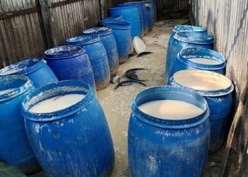 কালিয়াকৈরে যৌথ অভিযানে ৮ হাজার লিটার চোলাই মদ জব্দ