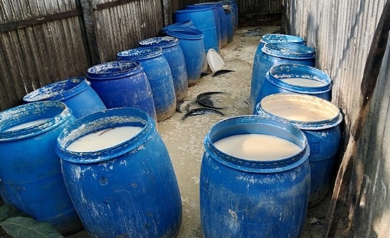 কালিয়াকৈরে যৌথ অভিযানে ৮ হাজার লিটার চোলাই মদ জব্দ