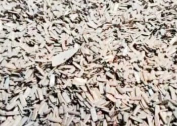 নাটোরের আহম্মদপুর বাজারের গোডাউনে মিলল ১৩ টন গুলির খোসা