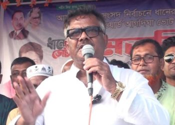 বিএনপিই আগামীতে এককভাবে ক্ষমতায় যাবে: দুলু