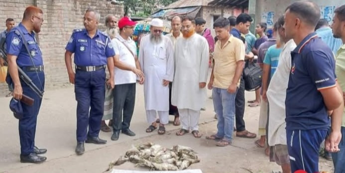নাটোরের সিংড়ায় দুই পাখি শিকারিকে কারাদন্ড- জবাইকৃত ৫১ বকপাখি উদ্ধার