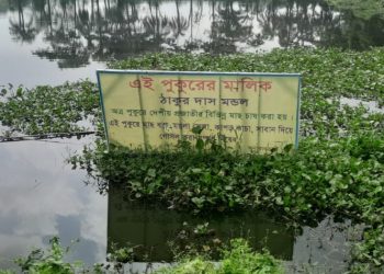 আওয়ামী লীগ থেকে বিএনপি পরিচয়ে দখল গাজীপুরে ঠাকুরদাস সিন্ডিকেট আতঙ্কে ভূমি মালিকরা