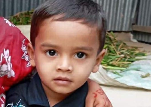 মির্জাপুরে পানিতে ডুবে ৪বছরের শিশুর মৃত্যু