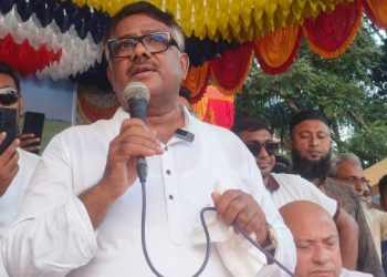 দেশের গণতন্ত্রকে সমুন্নত রাখতে ধানের শীষের বিকল্প নেই : দুলু