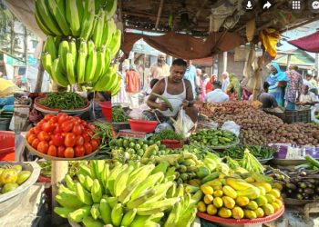 শীতের আগমনকে ঘিরে গাজীপুরের বিভিন্ন হাট বাজারে উঠছে প্রান্তিক কৃষকের শাকসবজি