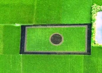 সবুজ মাঠের সোনালী প্রান্তরে ধান দিয়ে তৈরি লাল-সবুজের পতাকা-কৃষক ইমরানের তৈরি দেশপ্রেমের এক অনন্য নিদর্শন