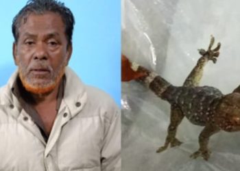 চুয়াডাঙ্গায় ৩ তক্ষকসহ গ্রেফতার ১জন