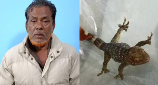 চুয়াডাঙ্গায় ৩ তক্ষকসহ গ্রেফতার ১জন