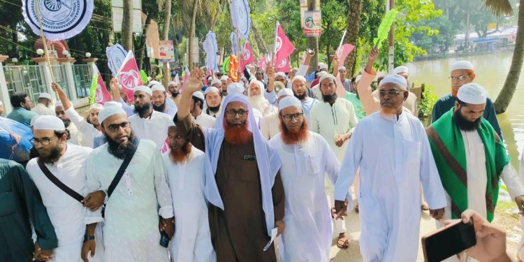 নাটোরের সিংড়ায় হাতপাখা প্রতীকের প্রার্থী মাওলানা খলিলুর রহমানের গণসংযোগ