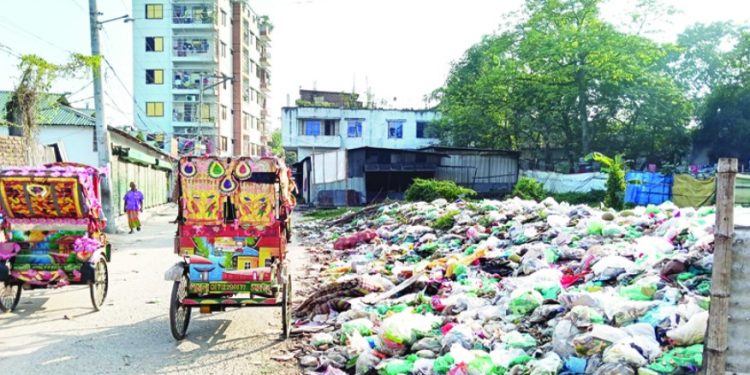 স্বাস্থ্যঝুঁকিতে লাখো মানুষ গাজীপুরের অলিগলিতে ময়লার স্তূপ, বাতাসে ছড়াচ্ছে দুর্গন্ধ