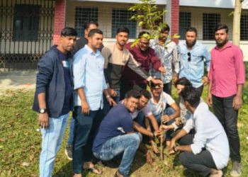 আলমডাঙ্গা সরকারি ডিগ্রি কলেজ ছাত্রদলের উদ্যোগে দোয়া মাহফিল, বৃক্ষরোপণ অনুষ্ঠিত