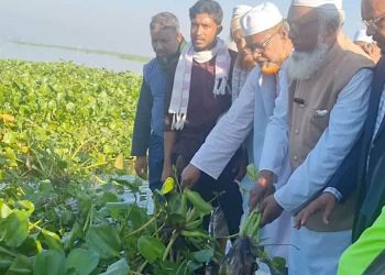 নাটোরের নলডাঙ্গায় রাস্তায় জমে থাকা কচুরিপানা পরিষ্কার করলেন জামায়াত নেতা-কর্মী
