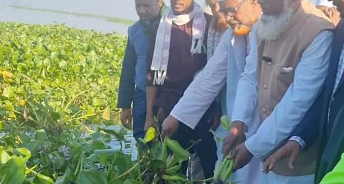 নাটোরের নলডাঙ্গায় রাস্তায় জমে থাকা কচুরিপানা পরিষ্কার করলেন জামায়াত নেতা-কর্মী