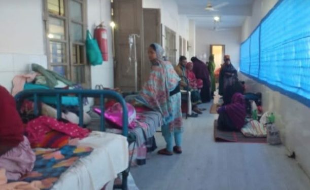 চুয়াডাঙ্গায় রোটা ভাইরাসের দাপট ১০ দিনে হাসপাতালে ভর্তি ১ হাজার ৭০ ডায়রিয়া রোগী, সবচেয়ে ঝুঁকিতে শিশুরা