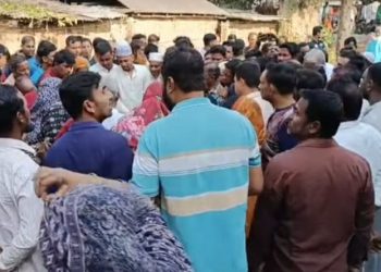 আলমডাঙ্গার হাটবোয়ালিয়া–ভালাইপুর সড়কে পিকআপ ভ্যানের ধাক্কা: বাইসাইকেল আরোহী আজাদের মর্মান্তিক মৃত্যু