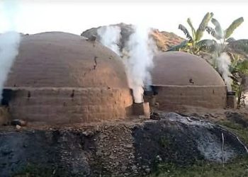 মির্জাপুরে প্রশাসনের চোখের আড়ালে অবৈধ কয়লার চুল্লী ব্যবসা: ঝুকিপূর্ণ স্থানীয় এলাকাবাসী